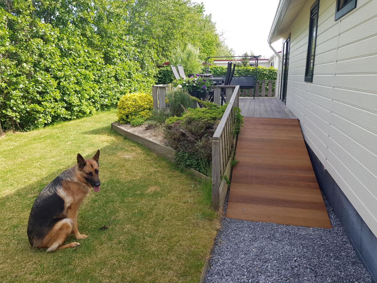 Vakantiehuis In Zeeland Sint Annaland Esterno foto